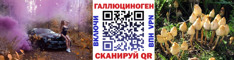 Галлюциногенные грибы Cubensis  Купить закладки  Новоульяновск 